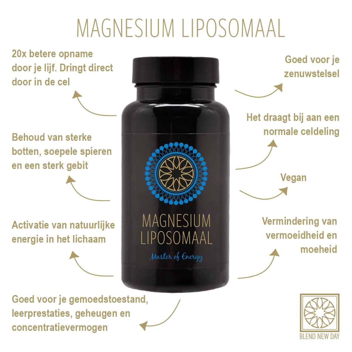 Magnesium Supplementen