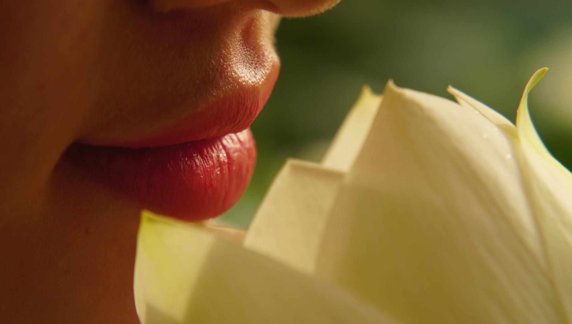 PMU lippen Schagen